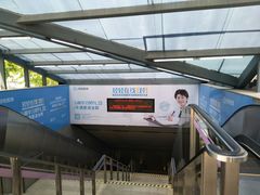 -上海动物园(地铁站)