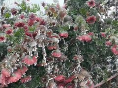 -咸宁万豪温泉谷度假区