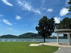 -西山漾湿地公园