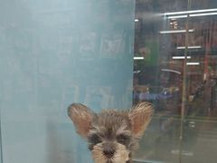 -FAELING PETS美天灵宠物(合生汇店)