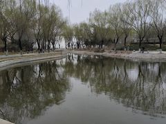 -丰台科技园生态主题公园