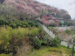 -台州府城(江南长城)