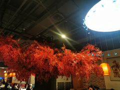 -雲蜀龙阁·金牌水煮鱼(方庄店)