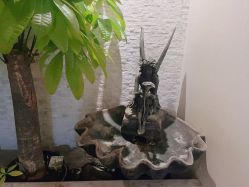 -伊芙世家美颜美养SPA