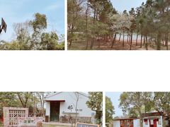 -南京市无想山景区