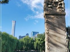 -团结湖公园