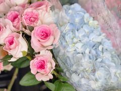 -万卉源鲜花店(百尚生活广场店)