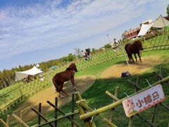 -黄海国家森林公园