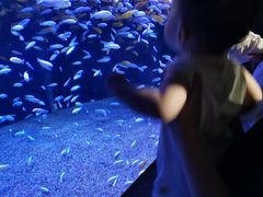 -成都浩海立方海洋公园