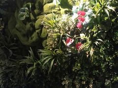 -梓程海鲜大酒家