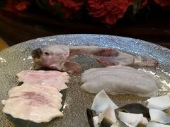 -孔庆璞河豚馆(白玉兰酒店)