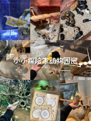 -Zoolung Zoolung动物主题公园(海信广场店)