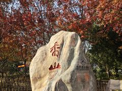 -香山公园