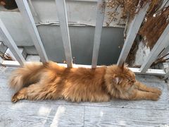 -小时光咖啡馆(北锣鼓巷店)