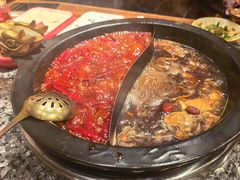 -蜀大侠火锅(建设路第五大道店)