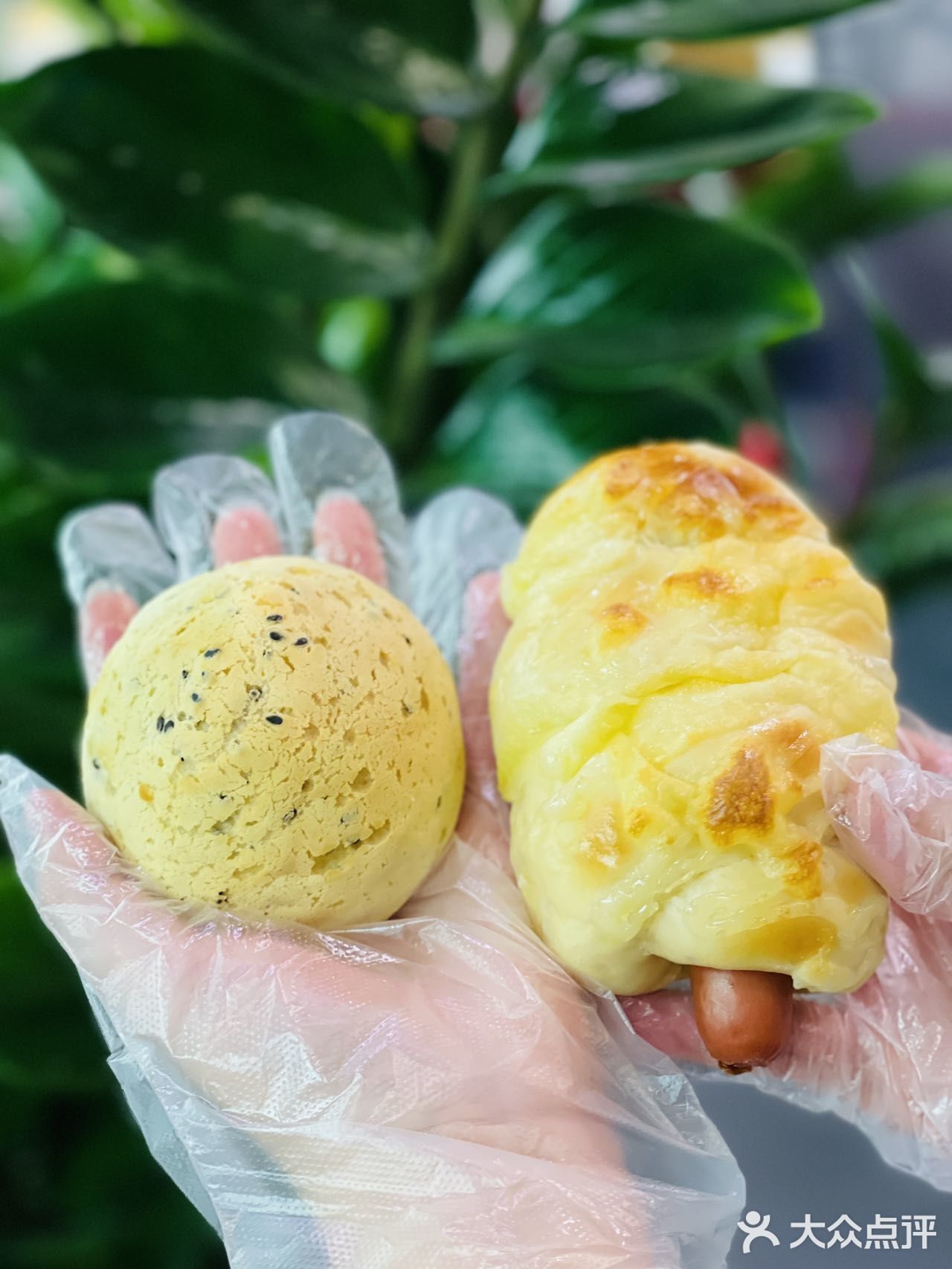 夏日限定！福福饼店和东北大板出联名啦！