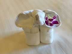 -阿瓦尼河滨曼谷酒店