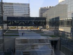 -首都医科大学附属北京天坛医院