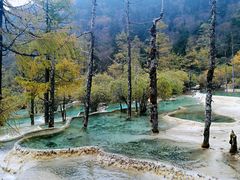 -黄龙山原始森林景区
