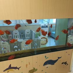 -杭州贝瑞斯美华妇儿医院·早孕·产检·儿科