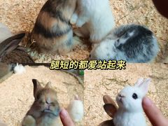 -正佳雨林生态植物园