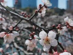-白塘生态植物园