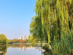 -杭州城北体育公园