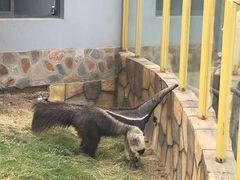 -南京金牛湖风景区