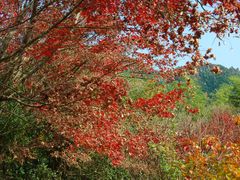 -丹山赤水风景名胜区