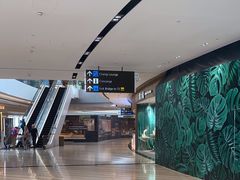 -樟宜机场免税店