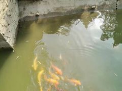 -芭东小镇温泉