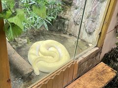 -上海大自然野生昆虫馆
