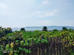 -平湖九龙山旅游度假区