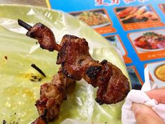 -艾力江和田馕坑烤肉店