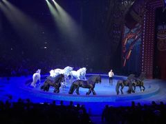 -珠海横琴长隆《卡卡虎奇遇记》