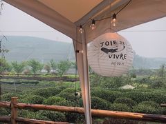 -龙坞茶村
