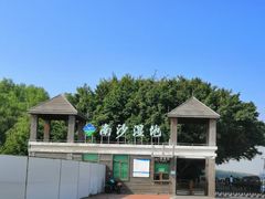 -大湾区中央湿地公园