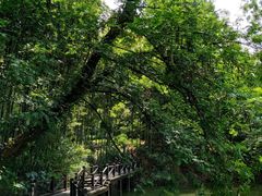 -宝岩生态观光园