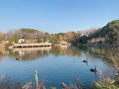 -无锡蠡湖国家湿地公园-蠡园