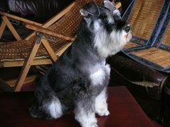 -腾翔乒乓球培训(亚运村店)