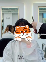 -蚂蚁造型俱乐部