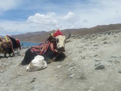 羊卓雍错-羊卓雍措