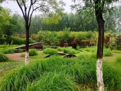 -东郊湿地公园