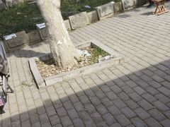 -淄博聊斋城景区