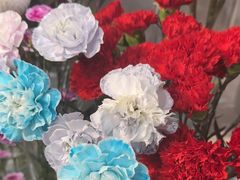 -MCJ-花店(西罗园店)