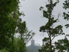 -缙云山景区
