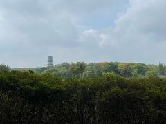 -宜兴龙背山森林公园