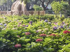 -常州古运河南大街文化旅游区-人民公园