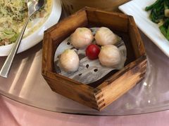 -东方御宴海鲜酒楼(棕泉酒店)