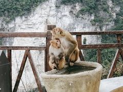 -重庆云阳龙缸景区